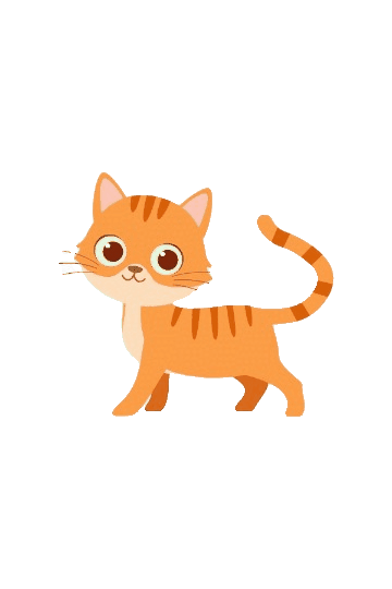 Cat instructor